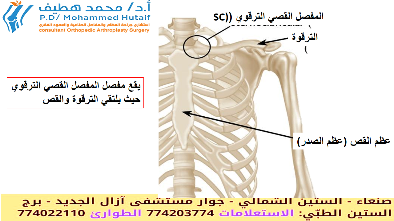 لا تتجاهل ألم القصي الترقوي SC: أعراضه، أسبابه، وكيف تعالجه