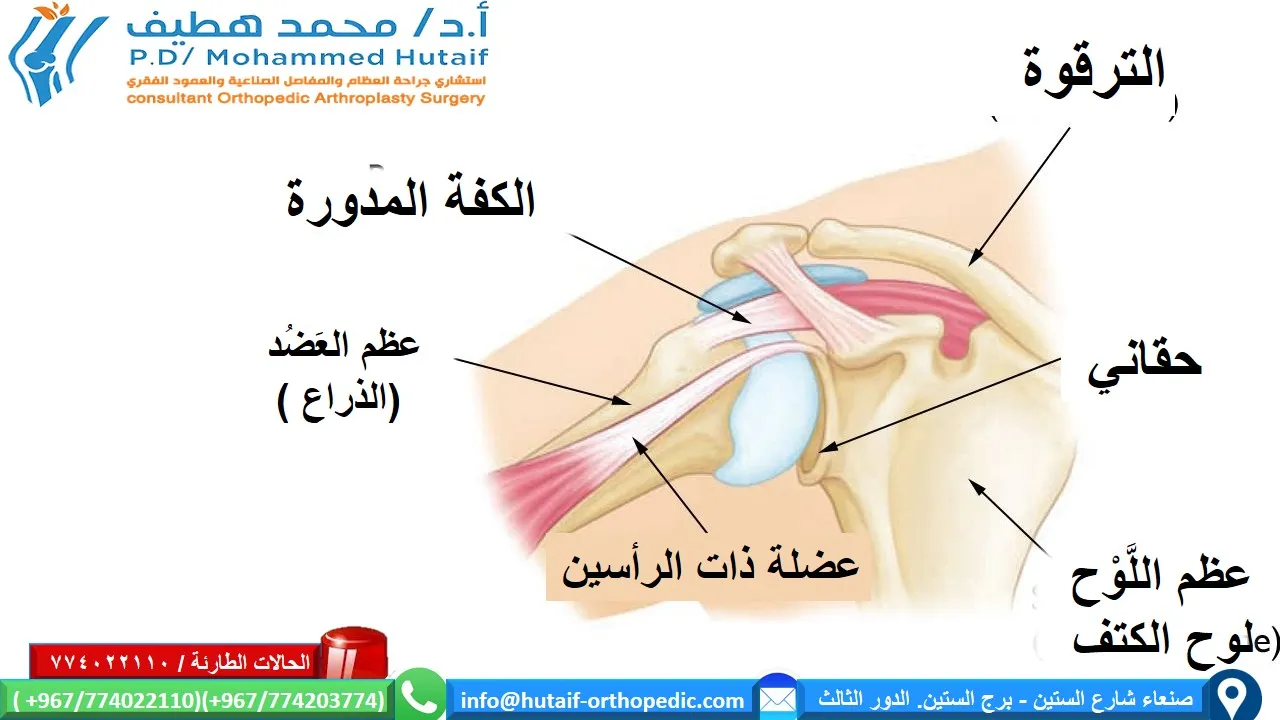 آلام الكتف ومشاكلها؟ الحلول المضمونة عند طبيب دكتور محمد.