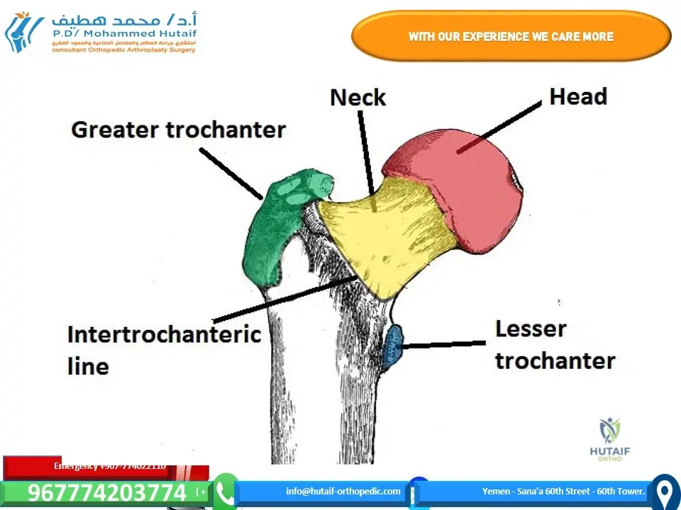 BEST ORTHOPEDIC SURGEON YEMEN