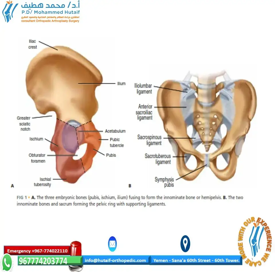 اختبر معلوماتك: أسئلة الغدة الجار درقية والعظام لإتقان استقلابها!