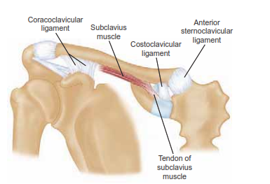 افضل دكتور عظام في اليمن