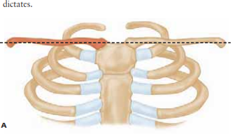 افضل دكتور عظام في اليمن