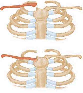افضل دكتور عظام في اليمن