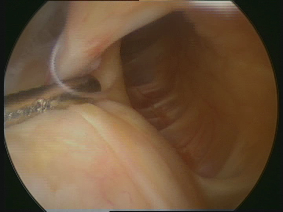 افضل دكتور عظام في اليمن