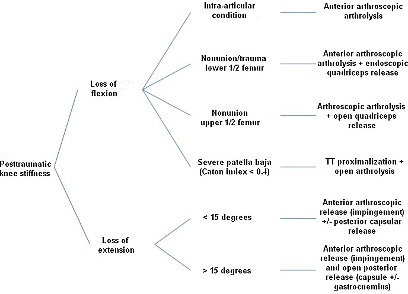Illustration 4 for Regain Mobility: Surgical Techniques for Posttraumatic Knee Stiffness