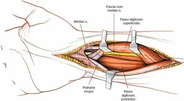 الرعاية العظمية الشاملة: كيف ساعد في تضميد آلام العظام والمفاصل
