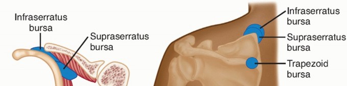 Snapping Scapula Syndrome: Why Your Shoulder Clicks & What to Do
