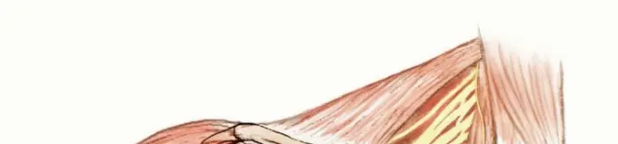 صورة توضيحية لـ استئصال أورام الكتف مع الحفاظ على الطرف: أحدث التقنيات لنتائج مثالية مع الأستاذ الدكتور محمد هطيف