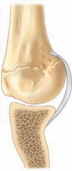 Illustration 8 for Unlock Recovery: Management of Shoulder Throwing Injuries