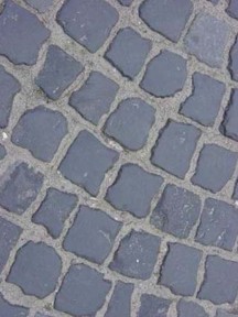 Illustration 27 for Expert Bone Grafting for Primary Total Hip Replacement Success