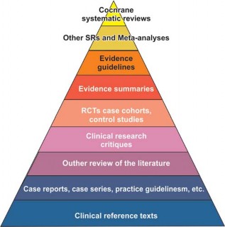 Illustration 7 for Looking for the Ideal Hip Implant? Uncover Key Factors