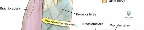 Surgical Management of Hallux Valgus: A Comprehensive Academic Guide
