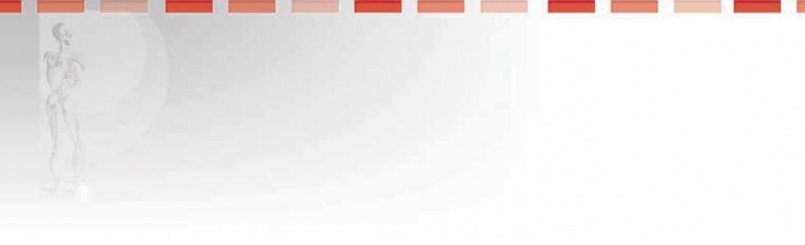 Illustration of singlebundle anterior cruciate ligament - Dr. Mohammed Hutaif