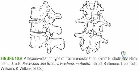 Orthopaedics Examination questions