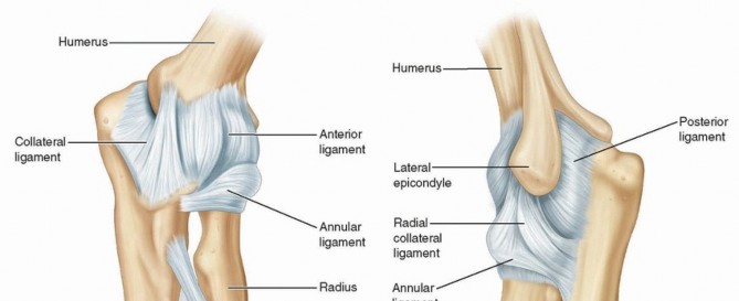 Unlock Your Elbow's Full Range: Treatment of Elbow Loss of Motion