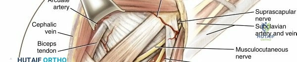 صورة توضيحية لـ خشونة المفاصل وتشوهات العظام: دليل شامل للعلاج والوقاية مع الأستاذ الدكتور محمد هطيف في صنعاء
