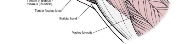 Illustration 75 for Unlocking Every Aspect of the Hip's Surgical Approaches