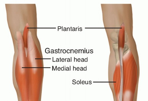 Your Guide to Successful Open Achilles Tendon Repair & Healing