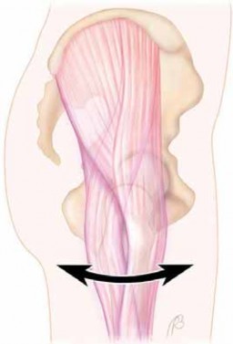 Illustration 5 for J. W. Thomas on Snapping Hip: Causes, Cures & Relief