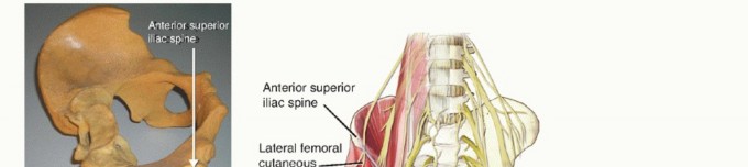 Iliac Crest Bone Graft: Anatomy, Techniques & Risks