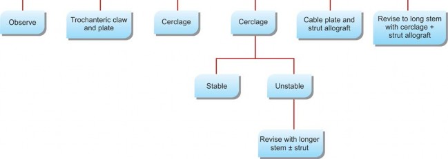 Illustration 10 for Mastering Fractures After Total Hip Arthroplasty