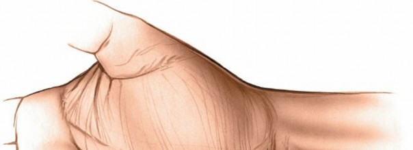 Illustration 82 for Essential Surgical Approaches: Uncover Every Aspect of the Wrist