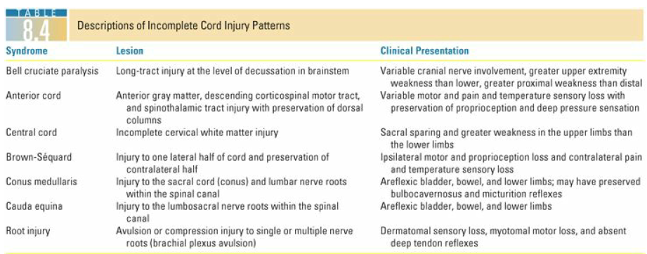 Axial Skeleton Fractures: Understanding Spinal Cord Injury Risk