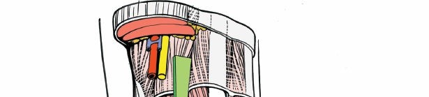 Illustration 64 for Optimized Approaches to the Dorsum of the Foot & Ankle