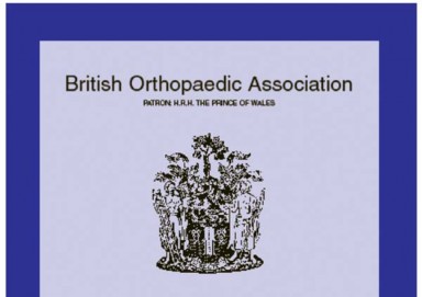 Illustration 10 for Looking for the Ideal Hip Implant? Uncover Key Factors