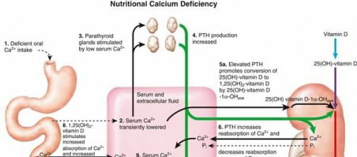الكساح الغذائي يهدد صحة طفلك؟ إليك الحلول الفعالة.
