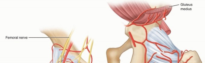 Septic Hip in Children: Mastering Anterior Drainage for Optimal Recovery