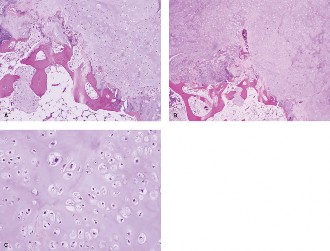Illustration 22 for Master Orthopedic Spine Cases: Sharpen Your Diagnostic Skills