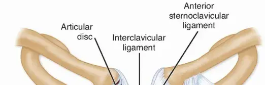 صورة توضيحية لـ خلع المفصل القصي الترقوي: دليلك الشامل للتعافي بأمان مع الأستاذ الدكتور محمد هطيف