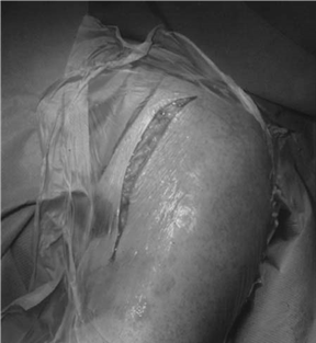 Illustration 10 for Pass Your Basic Sciences Viva: Key Anatomy & Pathology