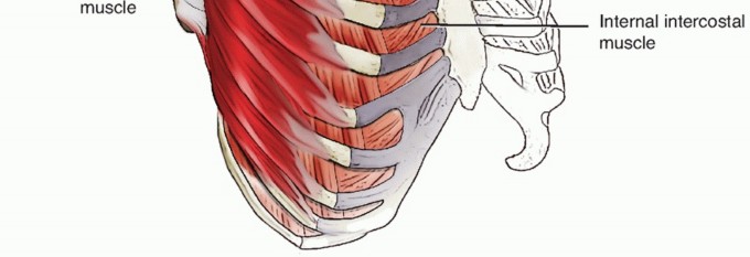 Illustration 5 for Snapping Scapula Syndrome: Why Your Shoulder Clicks & What to Do