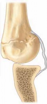 Illustration 9 for Unlock Recovery: Management of Shoulder Throwing Injuries