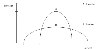 Illustration 8 for Decoding Von Willebrand Factor: Fundamental Basic Science Principles
