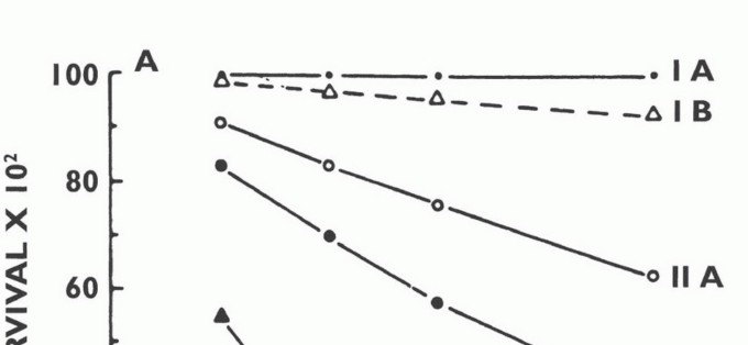 Illustration 14 for Understanding Benign Bone Tumors: Your Complete Preoperative Guide