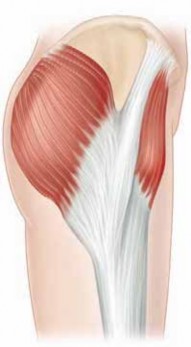 Illustration 20 for J. W. Thomas on Snapping Hip: Causes, Cures & Relief