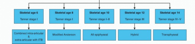 Illustration 6 for Optimizing ACL Reconstruction for Skeletally Immature Patients