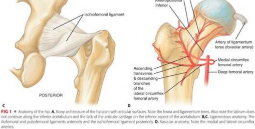 Illustration 9 for Understanding Hip Arthroscopy: The Basics Explained
