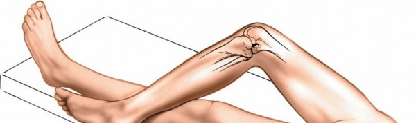 Illustration of knee and its supporting - Dr. Mohammed Hutaif