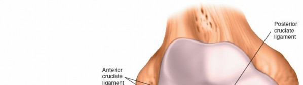Illustration 20 for Mastering Knee Arthroscopy Approaches: Safely Withdraw the Arthroscope