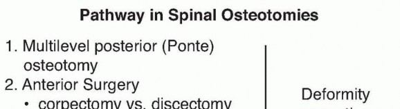 Posterior Spinal Osteotomies: Essential Insights for Every Level of Interest