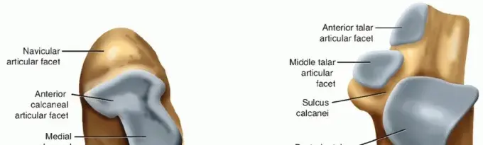 تنظير مفصل الكاحل الخلفي (تحت الكاحل): دليلك الشامل لاستعادة الحركة والتخلص من الألم