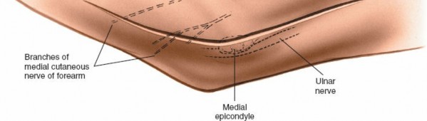 Illustration 27 for Mastering Elbow Approaches: Applied Surgical Anatomy for Precision