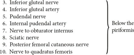 Illustration 207 for Unlocking Every Aspect of the Hip's Surgical Approaches