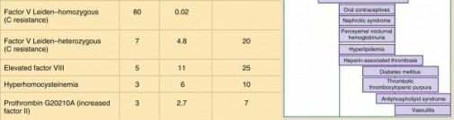 Illustration 4 for Perioperative & Orthopaedic Medicine: Preventing Dangerous Blood Clots