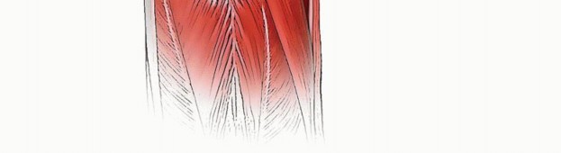 Illustration 9 for Total Hip Arthroplasty: Journey to Preventing Complications