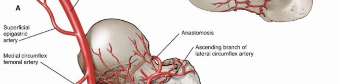 Illustration 2 for Pediatric Femoral Nailing: Targeting the Right aspect of the greater Trochanter